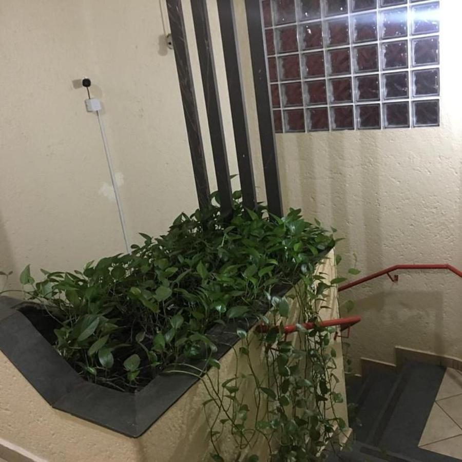 Oyo Center Hotel, ריבייראו פרטו מראה חיצוני תמונה